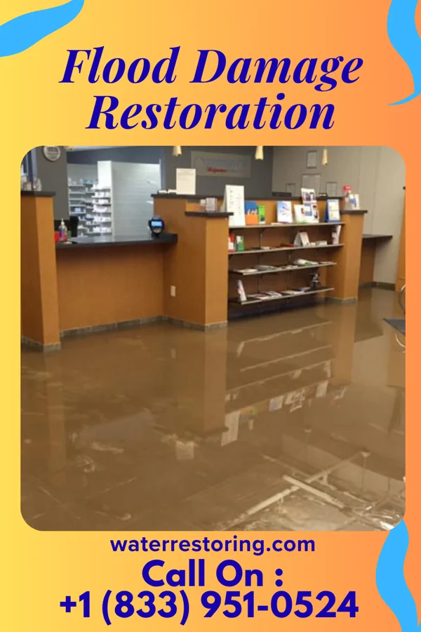 Flood Damage Restoration in Riverview, MO